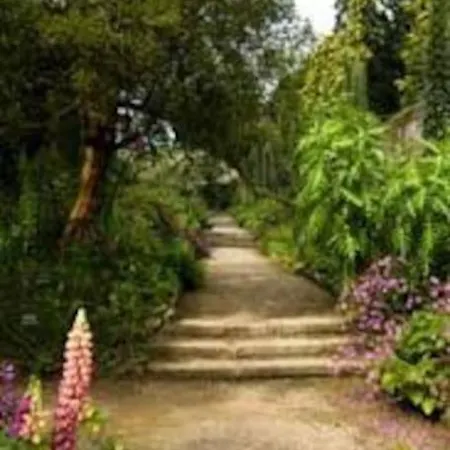 Σπίτι διακοπών Knockanree Cottage-quiet, Tranquil Country Hideaway